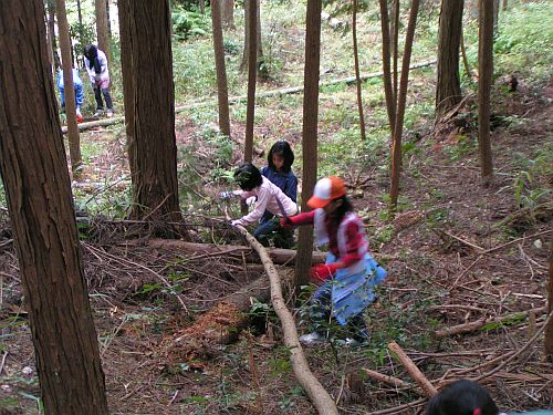 こちらも枝狩り