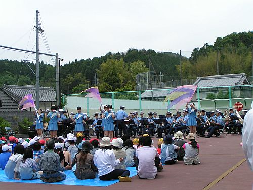 フレッシュウインズ