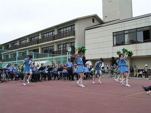 フレッシュウインズ