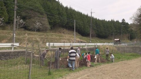 カブト幼虫採取1