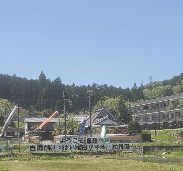 こいのぼりと看板